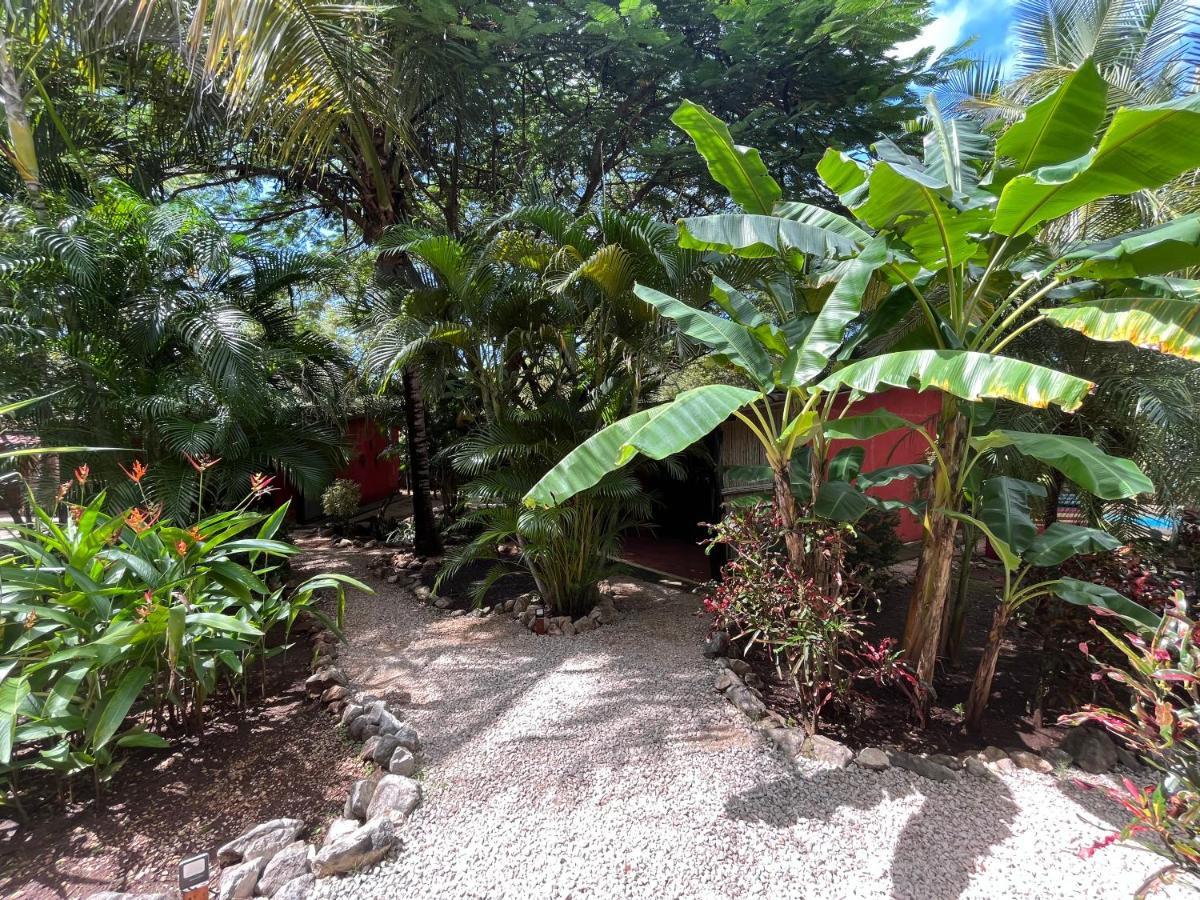 Casa Tropical Playa Grande Bed & Breakfast Cuajiniquil Exterior photo
